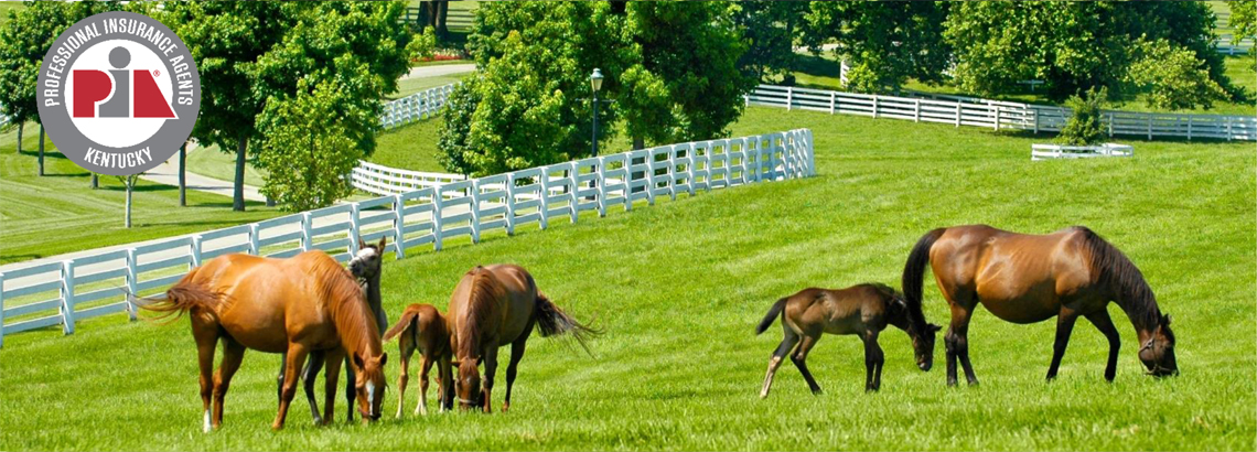 Professional Insurance Agents of Kentucky (PIAKY)